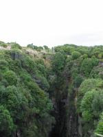 Albums/20060200-New Zealand 2006/20060313-Catlins/52